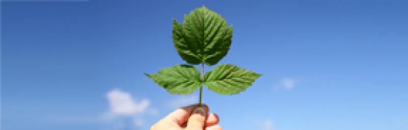 Escala Global – Saiba o que está por trás da Tecnologia do miHealth